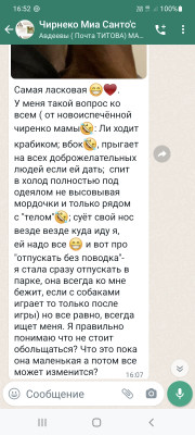 Screenshot_20220922-165252_WhatsApp.jpg