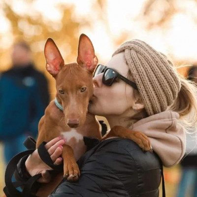 FB_IMG_1665912825501.jpg