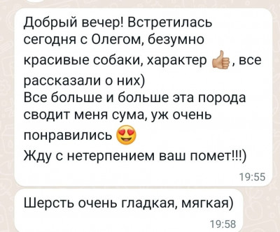 IMG-20240630-WA0165.jpg