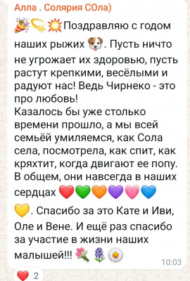 Screenshot_20250205_020535_WhatsApp.jpg
