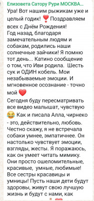 Screenshot_20250205_020500_WhatsApp.jpg