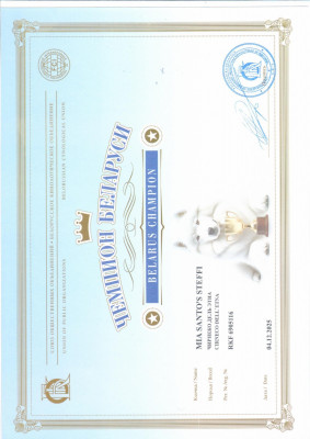 Чемпион Белорусии Теффи .jpg