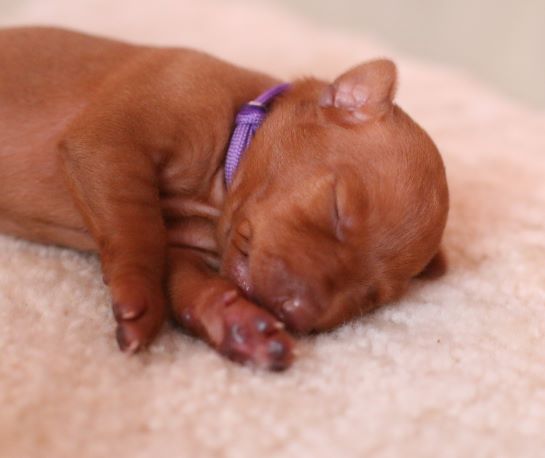 IMG_1383 (2).JPG